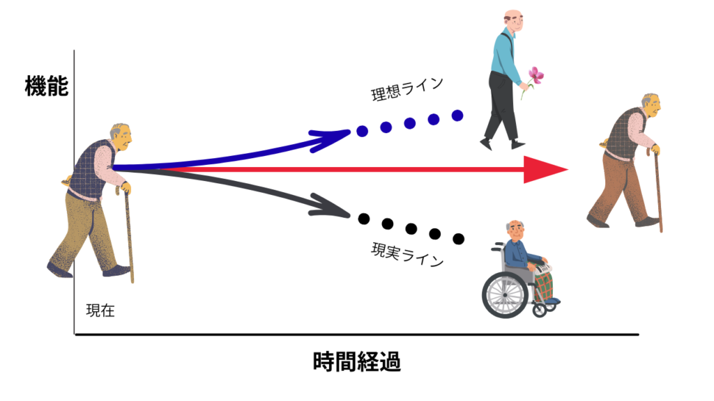 rehabilitation
