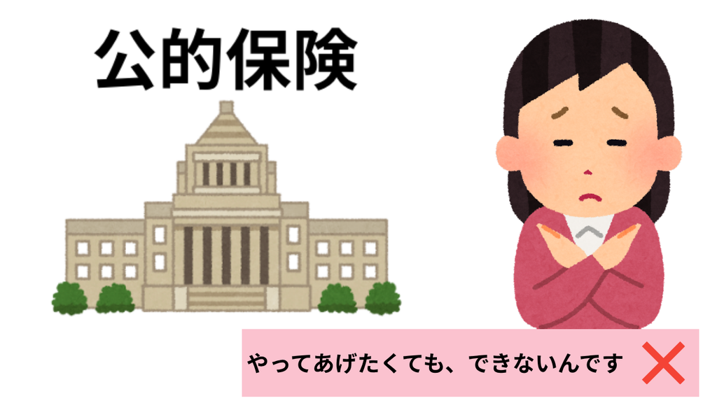 公的保険でできない部分
